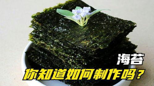 吃海苔视频,视频带你领略海苔的独特魅力