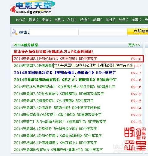 AV网站谁有 迅雷下载,AV网站“谁有”与迅雷下载的神秘关联
