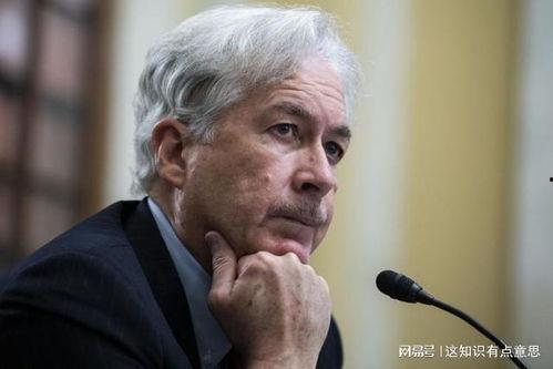 美中情局最新爆料视频