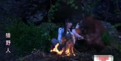 猎野人毛猴免费观看,免费畅享奇幻冒险之旅