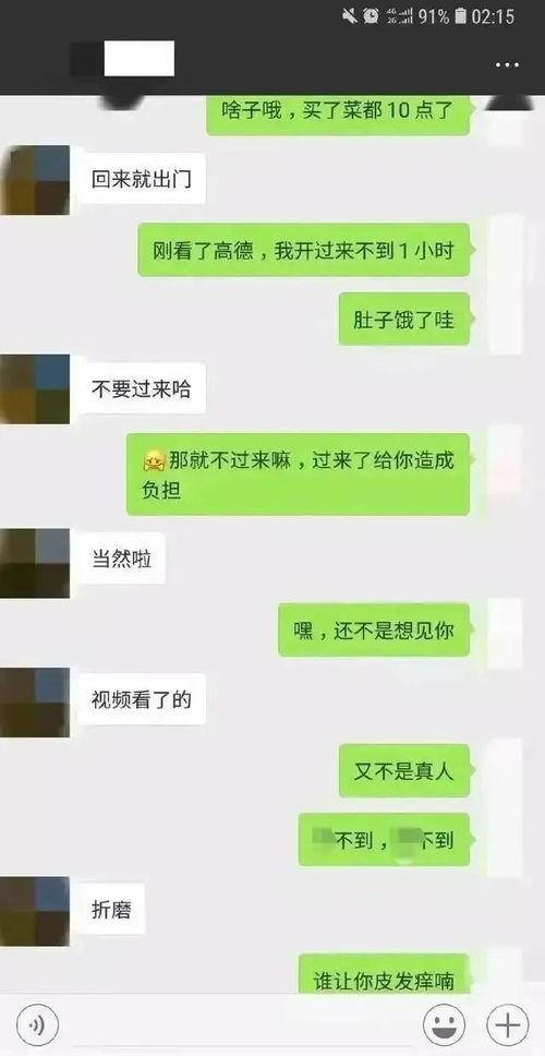 吃瓜群众聊天记免费,趣味横生的网络社交现象