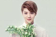 明星最洋气的名字,明星洋气名字背后的时尚魅力解析