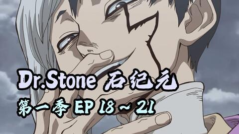 石纪元drstone免费观看