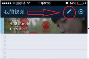 mo003 av影音,AV影音领域的极致体验揭秘