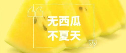 吃瓜墙娱乐文案,吃瓜墙上的那些秘密与真相