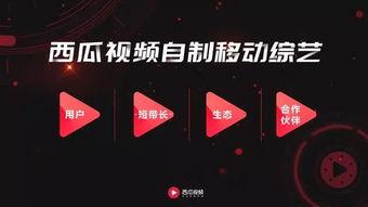 娱乐吃瓜单视频素材