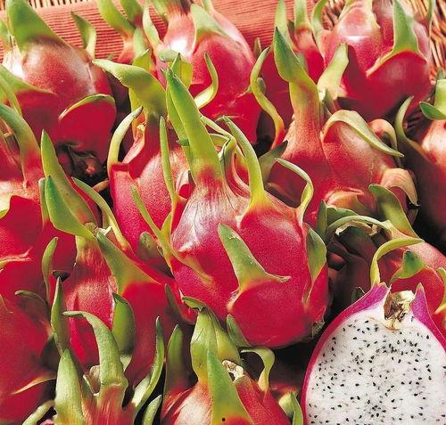 小豪娱乐吃瓜,揭秘娱乐圈最新吃瓜事件