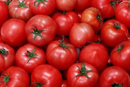 小豪娱乐吃瓜,揭秘娱乐圈最新吃瓜事件