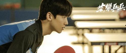 娱乐圈理性吃瓜白敬亭,娱乐圈理性吃瓜者的智慧与坚守